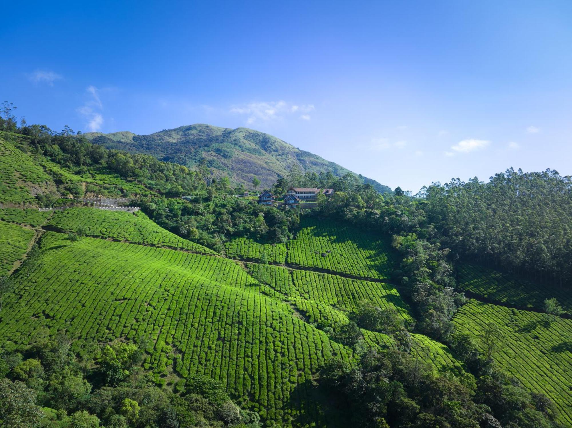 Hotel The Planet Munnar à Suryanelli Extérieur photo